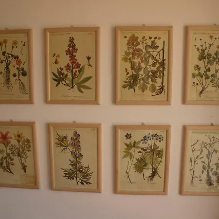 Nocleg ze śniadaniem La Casa Sul Corso Porto Recanati